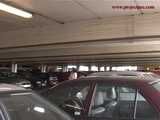016114 Eve Needs To Pee Before Leaving The Carpark