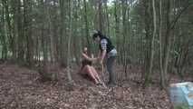 Ayu tree tied 1/2
