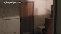 119006 Donna-Jo Pees On Her Basement Floor
