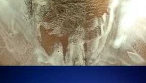 SHAVE