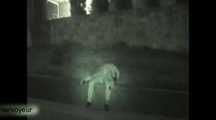 HIDDEN CAM AND FUCKING COUPLES