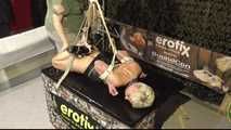 Tight Belt Hogtie for Lena King