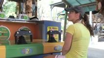 Fun at theme park