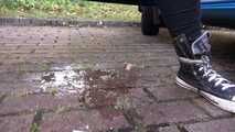 Pissing on the car - when you are outdoors, where else?