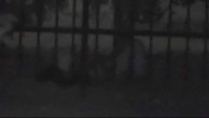 VOYEURFUN 1855 part 1