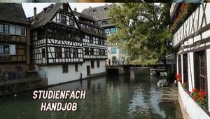 STUDIENFACH HANDJOB