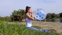 1286 B2P TT17 Polka Dot