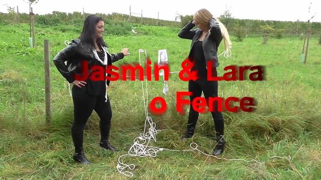 Jasmin & Lara tied to fence 2/2