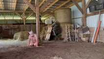 Schlachtfest! Es gibt frischen Bacon! HumanPig