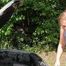 WTF!!! USED DURING CAR BREAKDOWN AND FUCKED BARE!