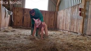 Piggy's last feeding