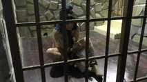 Nude spanish Lilith Kobayashi in heavy Chains
