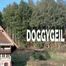 DOGGYGEIL