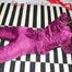 Watching sexy Alina being tied and gagged on the floor from Katharina both wearing sexy shiny nylon rainwear combinations (Pics)