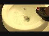 Toilet flushing chocolate cake logs 