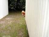 Dont go in
