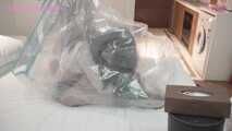 Xiaomeng is Vacuum Packed