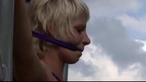 Bonus Update - Summer Special 2013