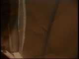 HIDDEN CAM AND FUCKING COUPLES
