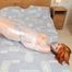 [From archive] Any Frost - mummified in cling film topless 2