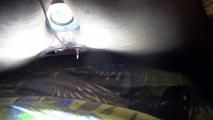 Devote bastard fuck with extremely anal plug 8 cm