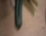 Thank you for your loyalty clips dollars only 1 per clip