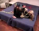 Close friends Catt and splendid Alexa trying to escape (video)