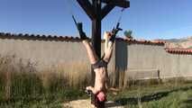 Hanging Challenge for TattoeDMomo