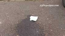 064018 Kima Hurries In To The Car Park For A Pee
