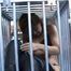 ab-124 Punished for Stealing Part 1 (2)