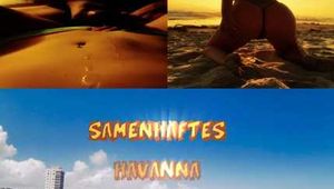 SEEDY HAVANNA