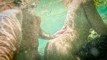 REAL-LIFE UNDERWATER SEX IN THE OCEAN?! PRIVATE VACATION PUSSY INSEMINATION!