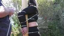 Roxy Zip Tied to the Post