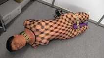 Double Hogtie