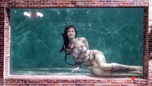 Aquarium