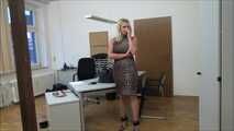 Julia – The Fake Auditor Part 6 of 7