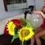 sexy busty Blow2Pop transparent Belbal 14"