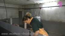 Clip #007 Veterinarian in the pigsty- the mixed group #stable