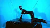  The Blue Room - Ass hooked and vibed 