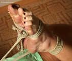Mouse hogtied