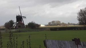 112006  Anna R Takes A Pee On The Windmill
