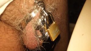  Pissing in Mini Chastity 2 Videos