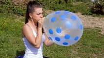 1286 B2P TT17 Polka Dot