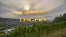 HORNY FINGERS