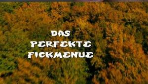 THE PERFECT FUCK