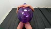 clip no 377