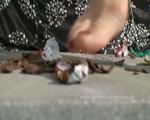 Crushing choco