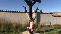 Hanging Challenge for TattoeDMomo