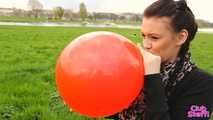247 public pop