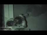 HIDDEN CAM AND FUCKING COUPLES